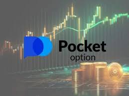 Полный гид по pocket option обучение от новичка до профи Полный гид по pocket option обучение от новичка до профи